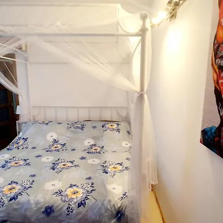 Vilă Vila Zoe Mamaia