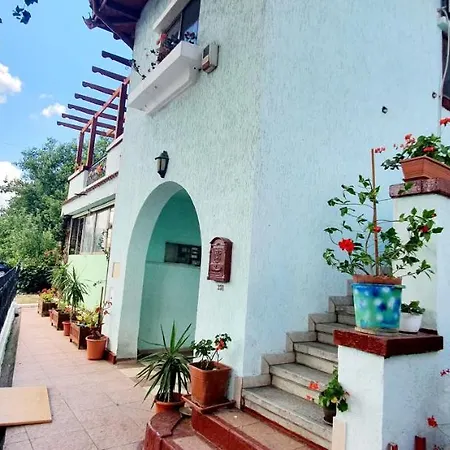 Vila Zoe Vilă *