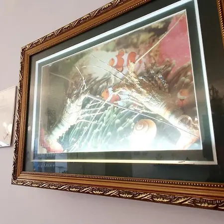 Vilă Vila Zoe